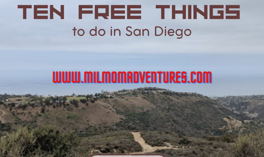 Check Out These Free Things to Do In San Diego